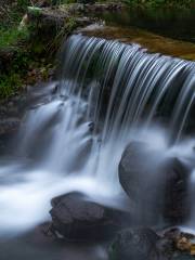 Songshan Nature Reserve