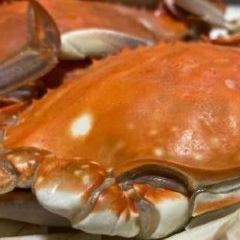 渡海小漁村·日照本幫菜（連雲港路店）張用戶圖片
