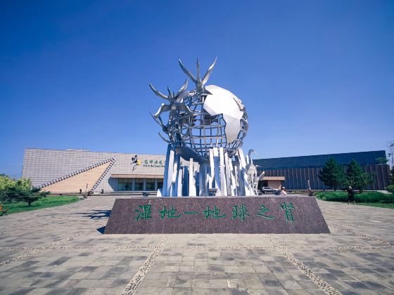 Fujin National Wetland Park