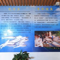 鱼知味 User Photo