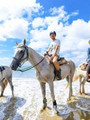 Canadian Camp Riding Club