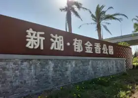 新湖鬱金香公園