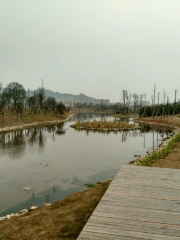 蘆洲公園