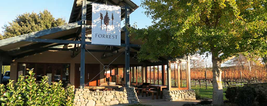 Forrest Wines