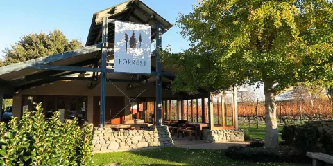 Forrest Winery