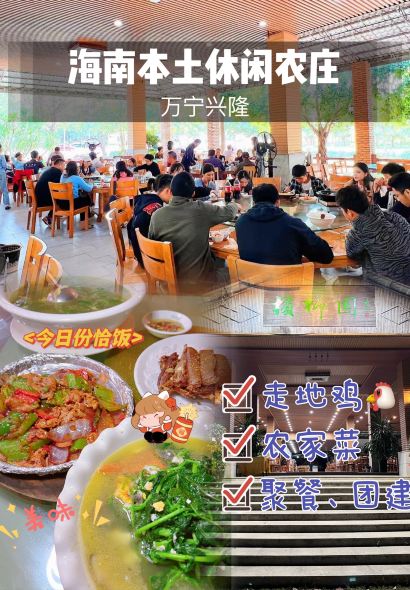 興隆檳榔園休閑農莊