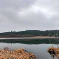 Attractive natural lake and park
