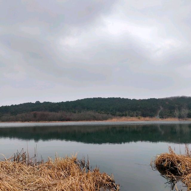 Attractive natural lake and park