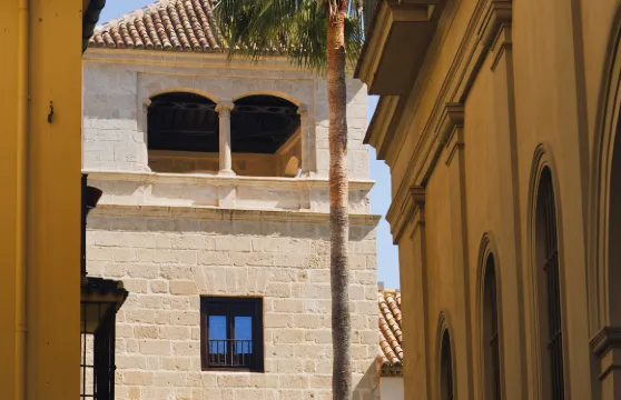 馬拉加畢加索博物館門票成人