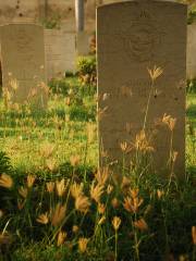 World War Cemetery