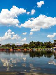 Wetland Park