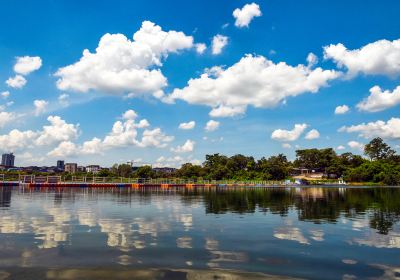 Wetland Park