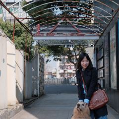森加咖啡店(环城南路店) User Photo