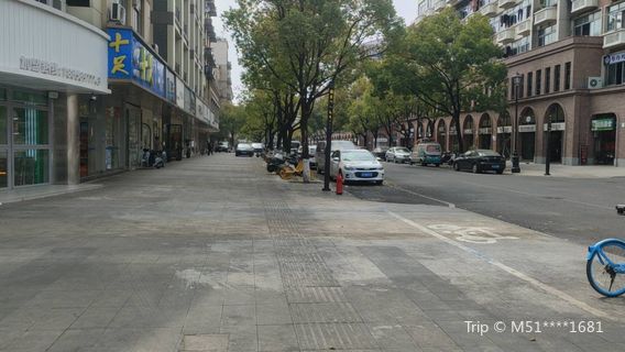 Exotic Street