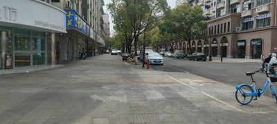 Exotic Street