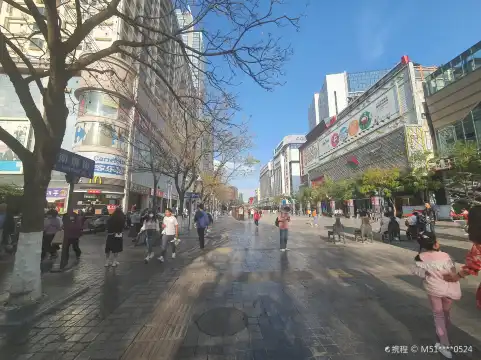 Hotels near Nanping Pedestrian Street