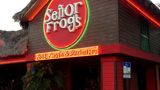 Senor Frog's Orlando