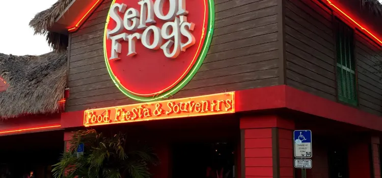 Senor Frog's Orlando