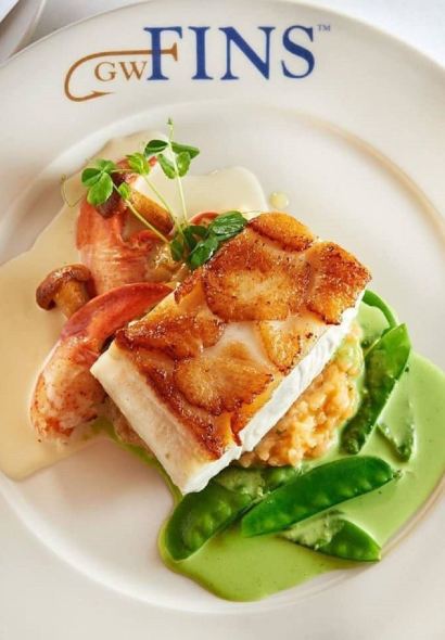 GW Fins