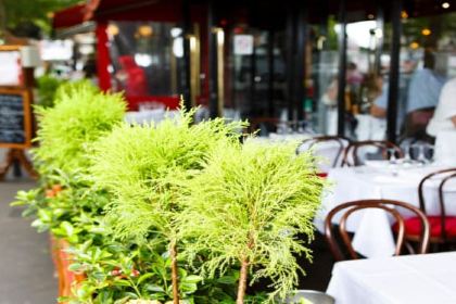 Le Ballon des Ternes