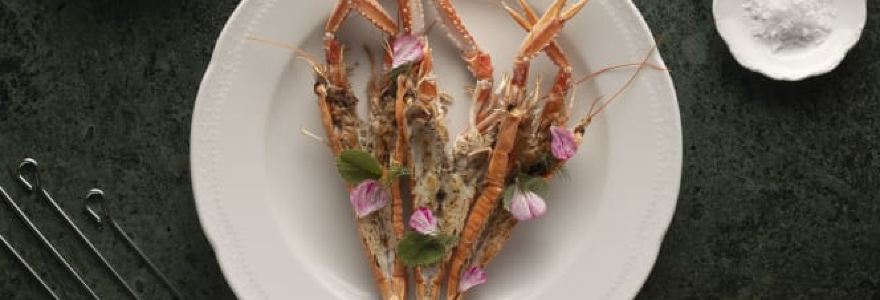 Cibreo Caffè - Helvetia & Bristol