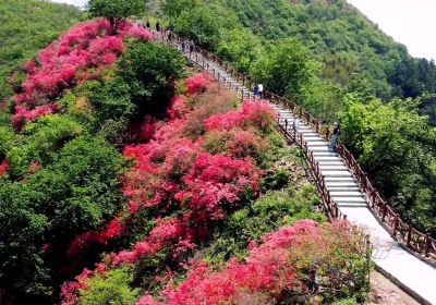 Huangping Mountain Ecological Tourism Area