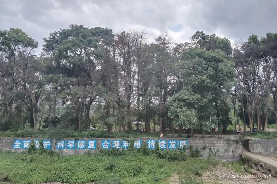 Huilongzhou Scenic Area