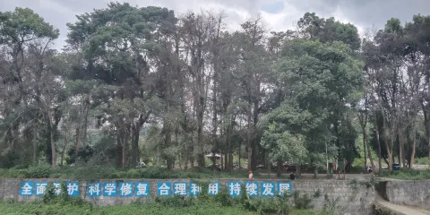 回龍洲風景區