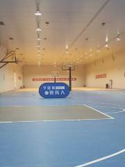 安寧籃球公園