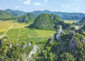 蘋塘鎮石山峯林風景區