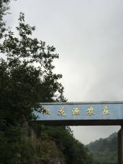 Taohuayuan Farm