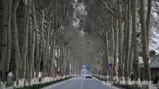 Chongqing Road