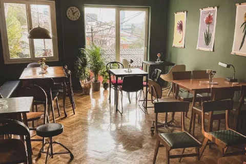 Leposava bar