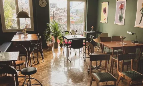 Leposava bar