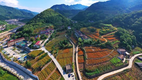 jin yin gu lv you jing qu