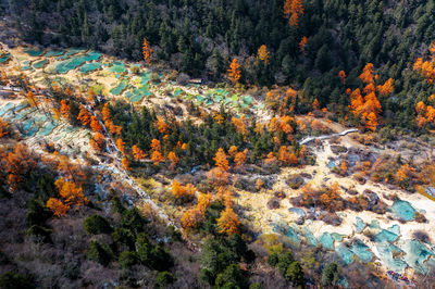 Fall Foliage Sightseeing in Songpan