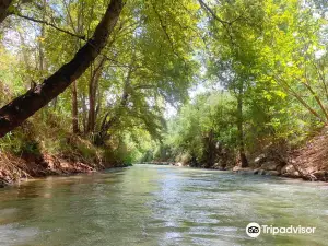 Hagoshrim Kayaks