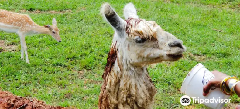 Сеть Days Inn в г. Рэнкин 