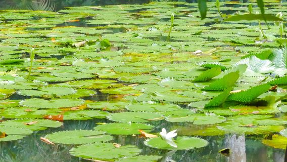 Parque Zoobotanico Arruda Camara