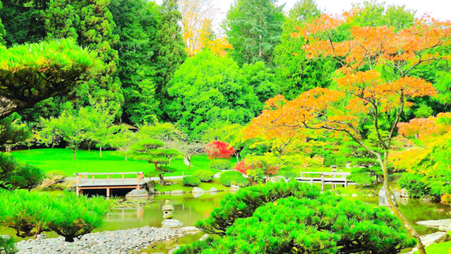 Washington Park Arboretum