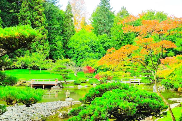 Washington Park Arboretum