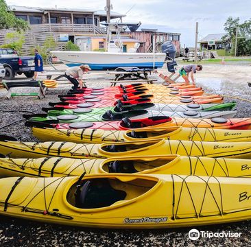 Charleston Outdoor Adventures