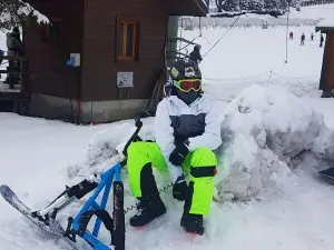 CentSix Snowscoot