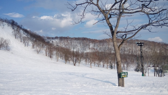 Niseko