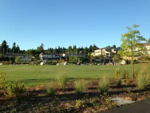 Lion's Park