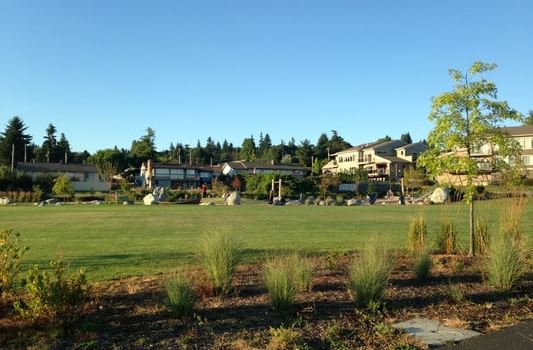 Lion's Park