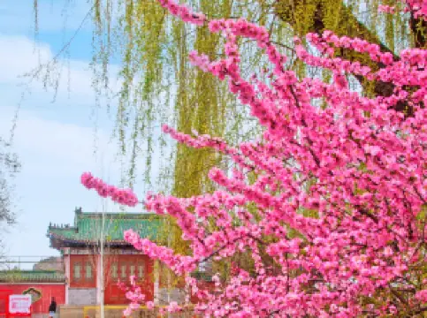 烏魯木斉人民公園