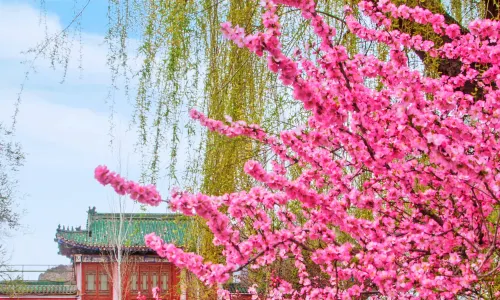 People's Park of Urumqi