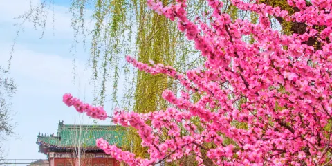 烏魯木齊人民公園