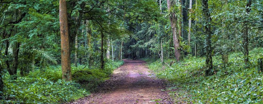 Banco National Park